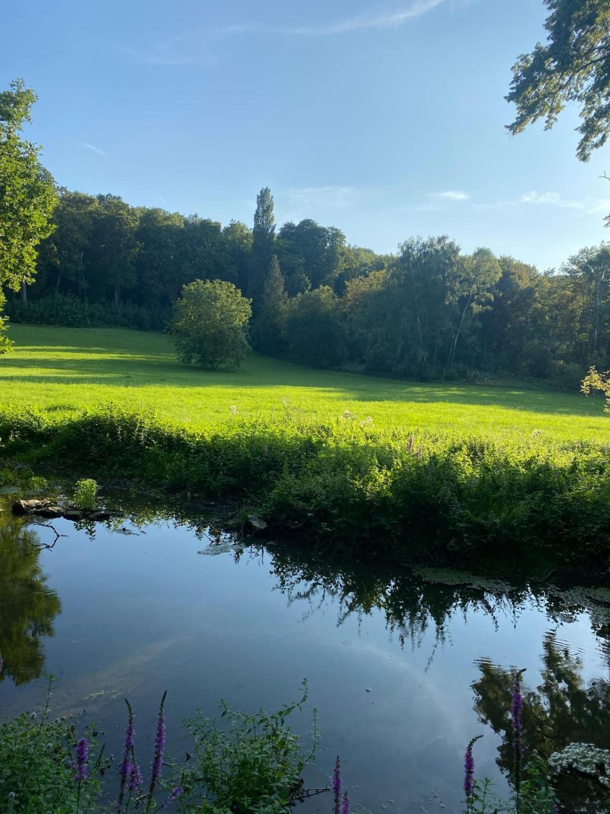 Chateau De La Bucherie Saint-Cyr-en-Arthies Eksteriør bilde